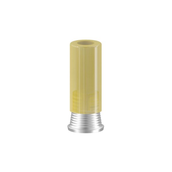Prosthetic Coping Components